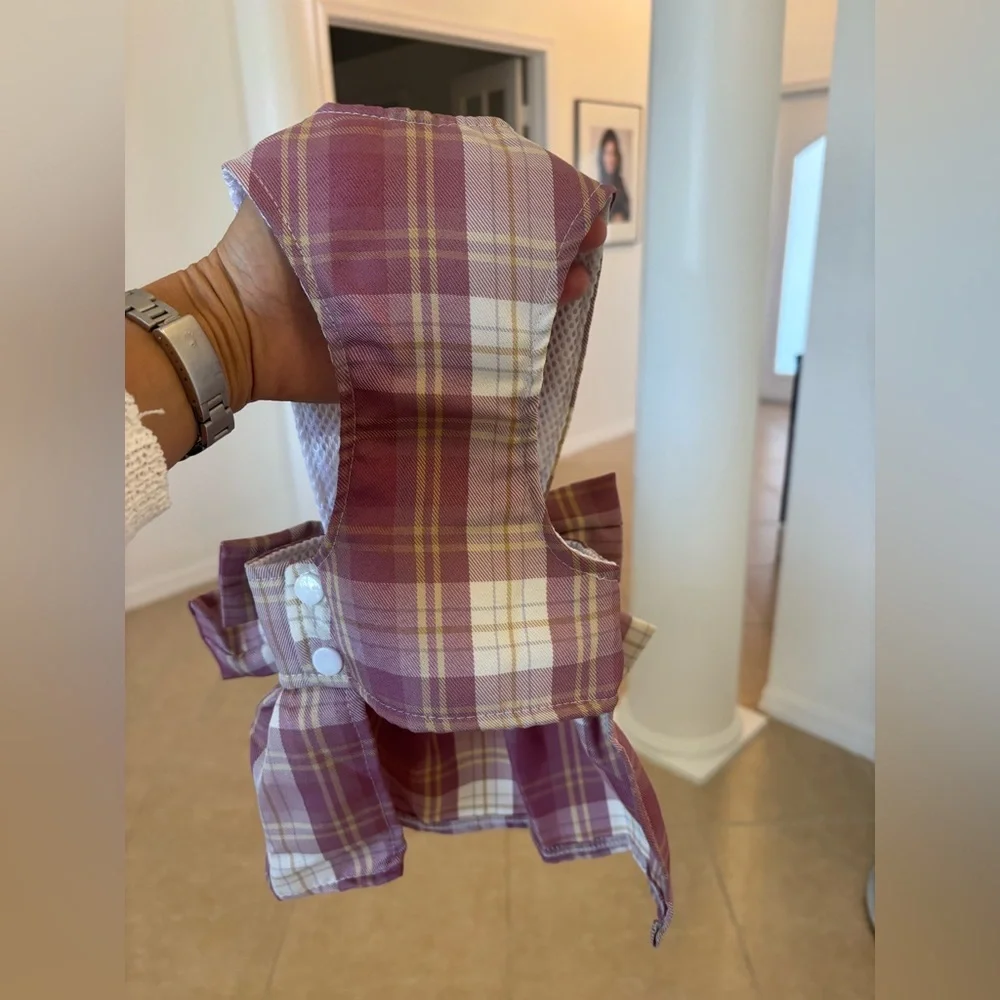 Plaid dress and harness 🩷